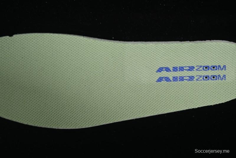 Nike SB Day One Low Top Casual Skate Shoes with Air Zoom Cushion - FN4210-300