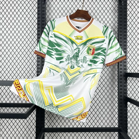 2026 قميص مالي الرسمي