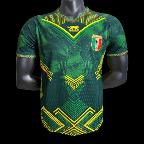 قميص منتخب مالي 2026 نسخة اللاعب 2026